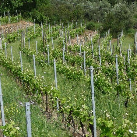 Ca Dei Conti Βίλα San Bartolomeo Al Mare Δωμάτιο φωτογραφία